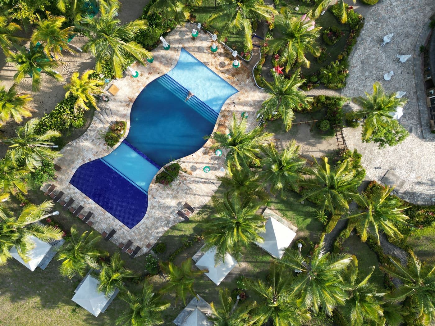 Aerial view of a tropical resort pool surrounded by palms in Punta Cana