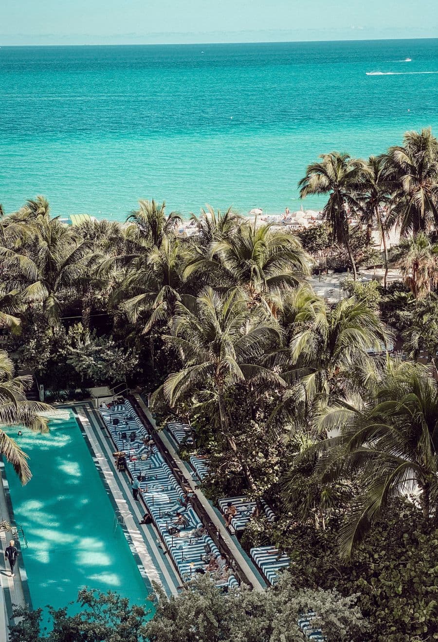 Palm-lined resort pool with loungers overlooking turquoise sea